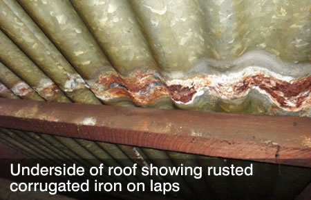 Rusted corrugated iron on underside of roof on laps